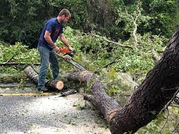 Mulching Services in Jonesboro, AR